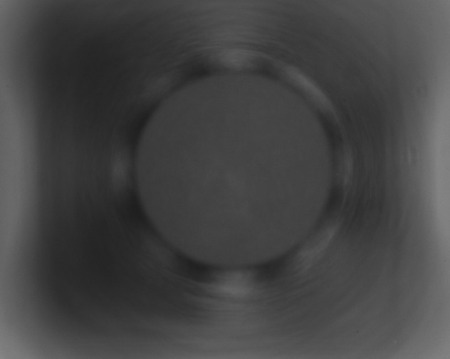 X0000101420465200807071319
