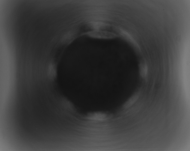 X0000101420471200807071319