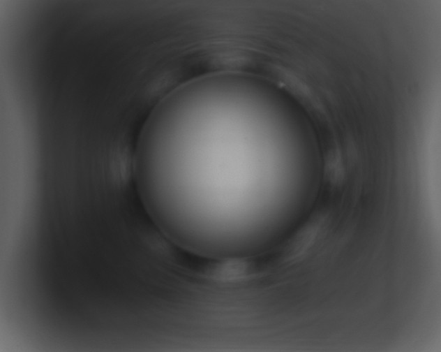 X0000101420474200807071319