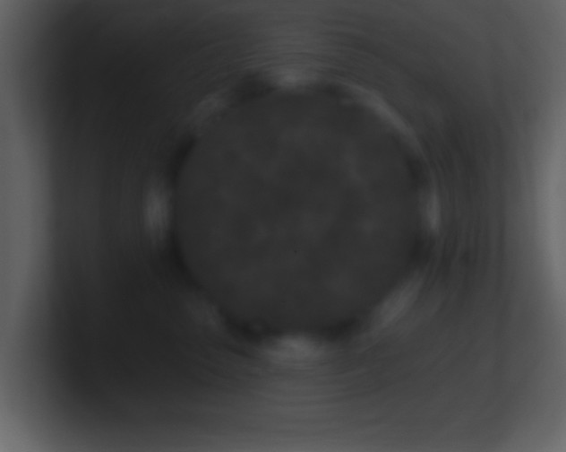 X0000101420475200807071319