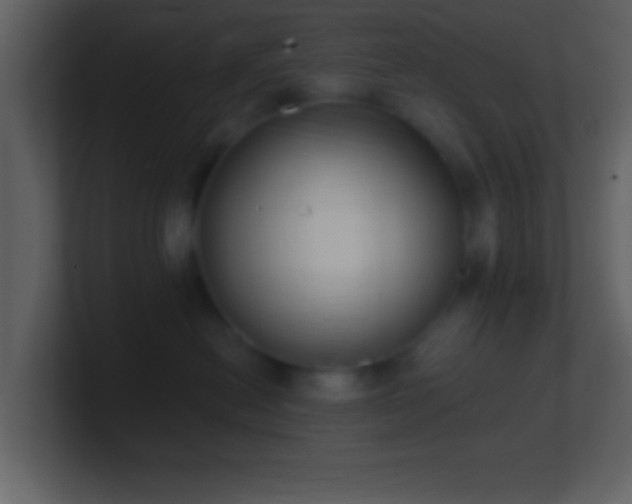 X0000101420478200807071319
