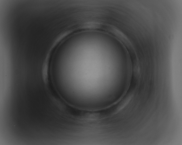 X0000101420484200807071319