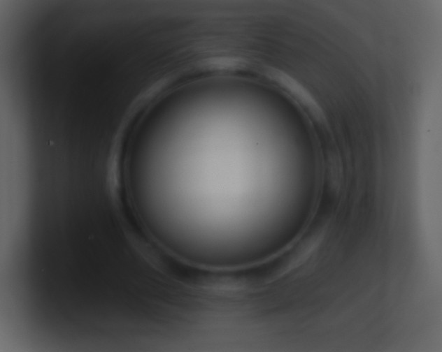 X0000101420486200807071319