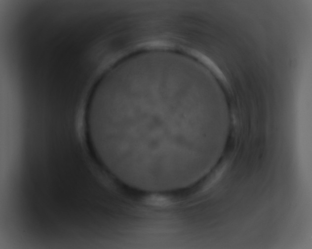 X0000101420487200807071319