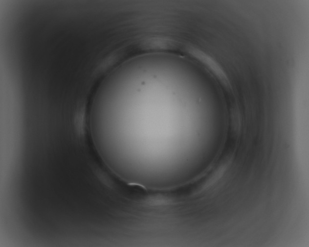 X0000101420489200807071319
