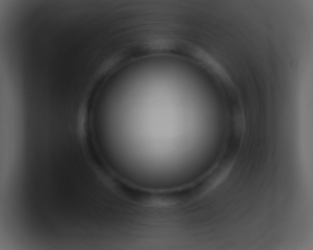 X0000101420490200807071319