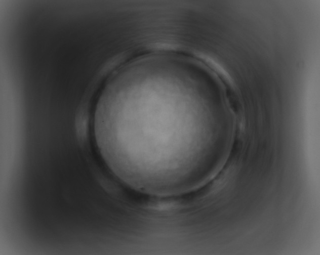 X0000101420491200807071319