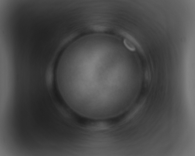 X0000101420492200807071319