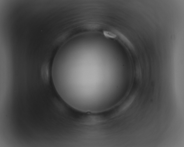 X0000101420493200807071319