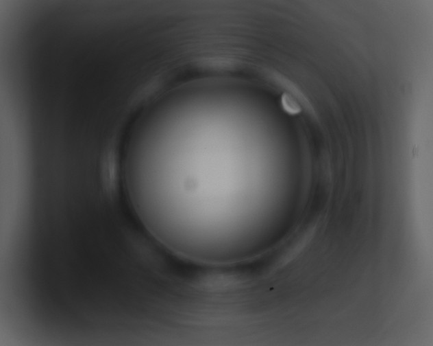 X0000101420494200807071319