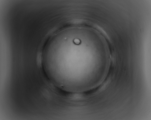 X0000101420495200807071319