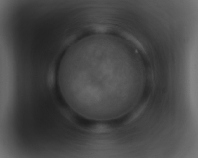 X0000101420496200807071319