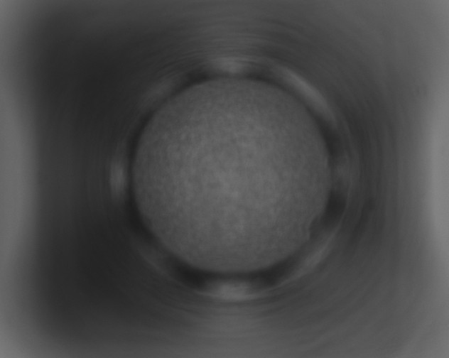 X0000101420500200807071319
