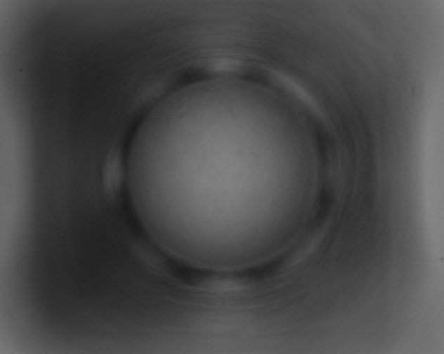 X0000101420502200807071319