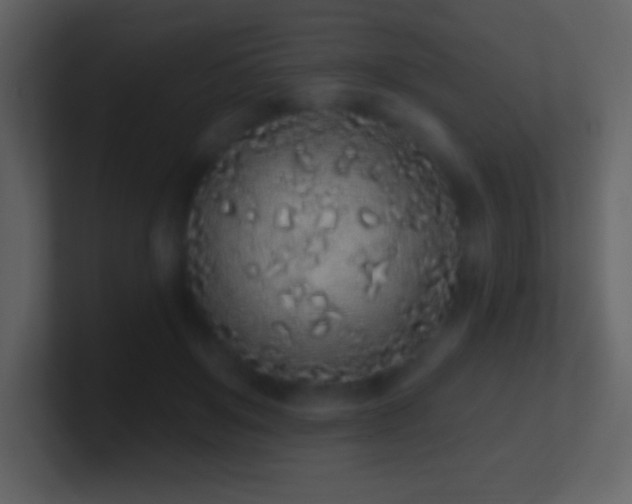 X0000101420503200807071319