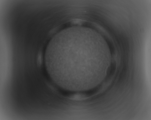 X0000101420504200807071319