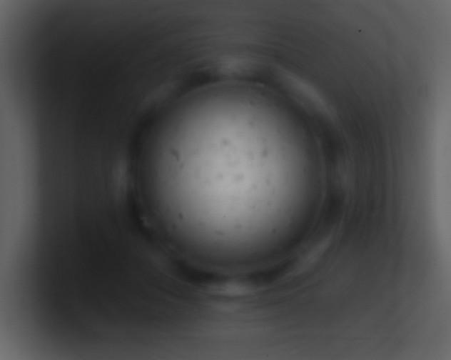 X0000101420506200807071319