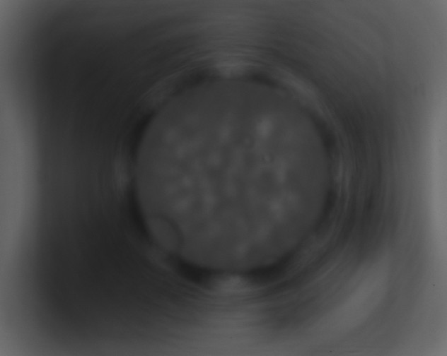 X0000101420507200807071318