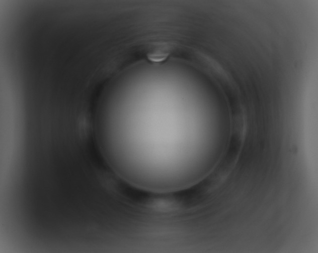 X0000101420510200807071318
