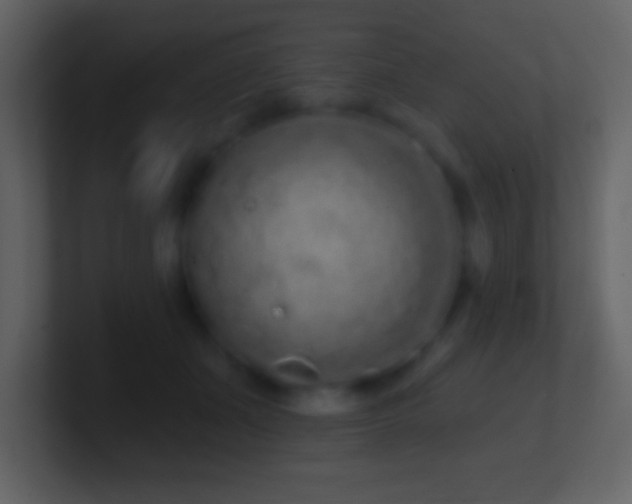 X0000101420511200807071318