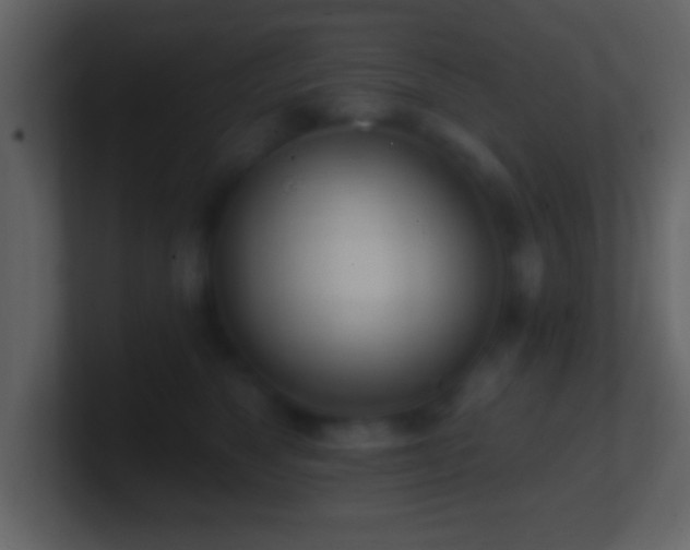 X0000101420517200807071318