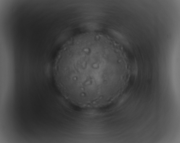 X0000101420519200807071318