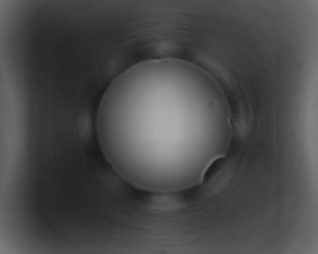 X0000101420520200807071318