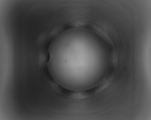 X0000101420523200807071318