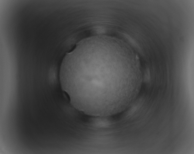 X0000101420524200807071318
