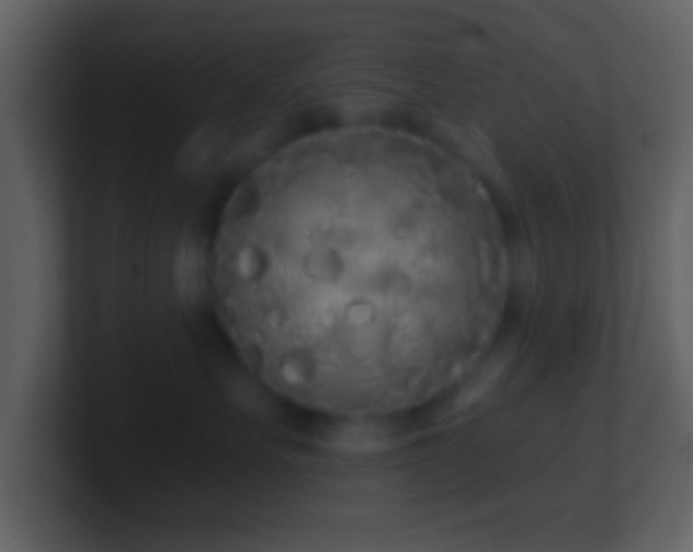X0000101420527200807071318