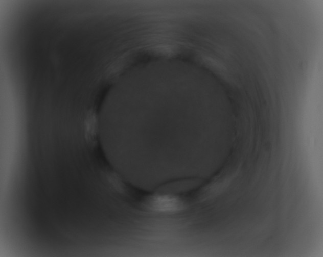 X0000101420528200807071318