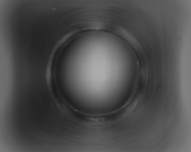 X0000101420532200807071318