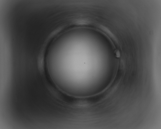 X0000101420535200807071318