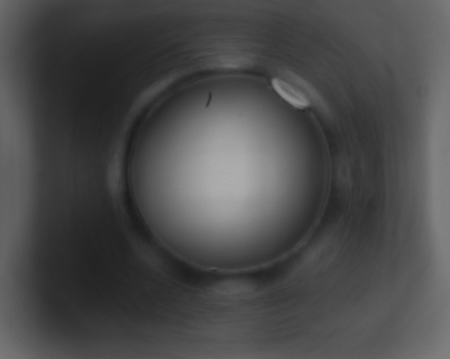 X0000101420536200807071318