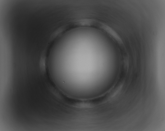 X0000101420537200807071318