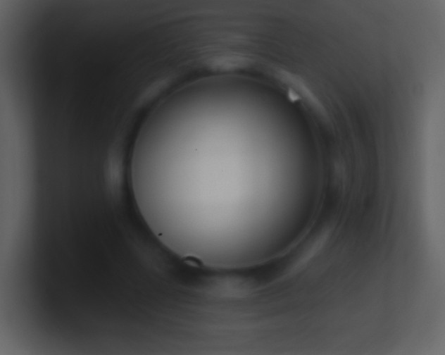 X0000101420539200807071318