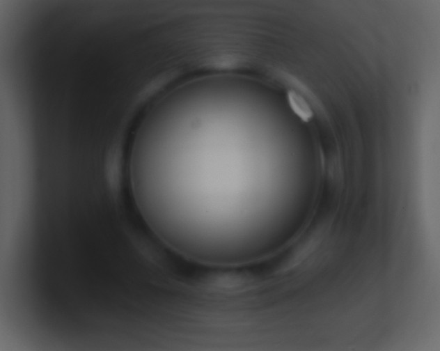 X0000101420540200807071318