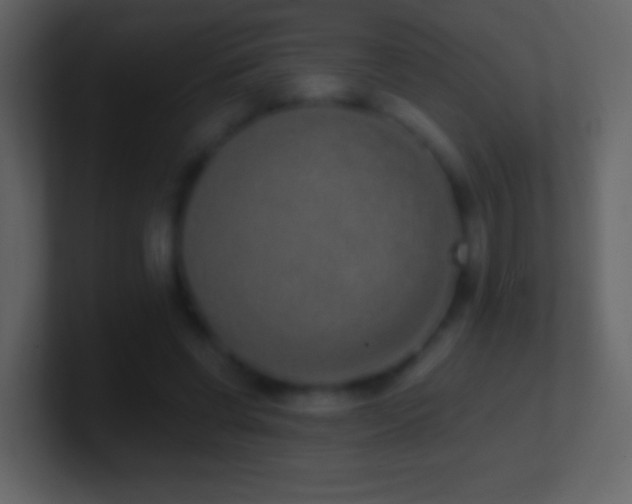 X0000101420542200807071318