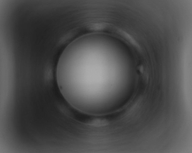X0000101420543200807071318