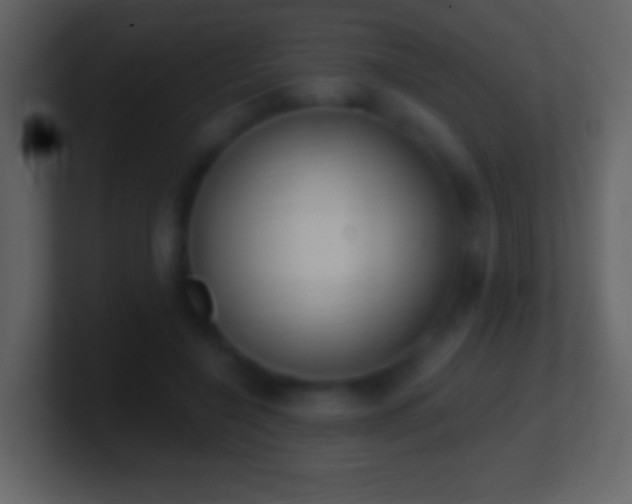 X0000101420548200807071318