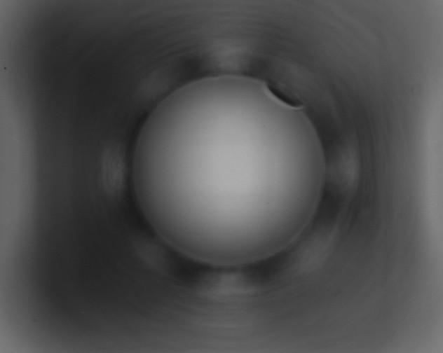 X0000101420552200807071318