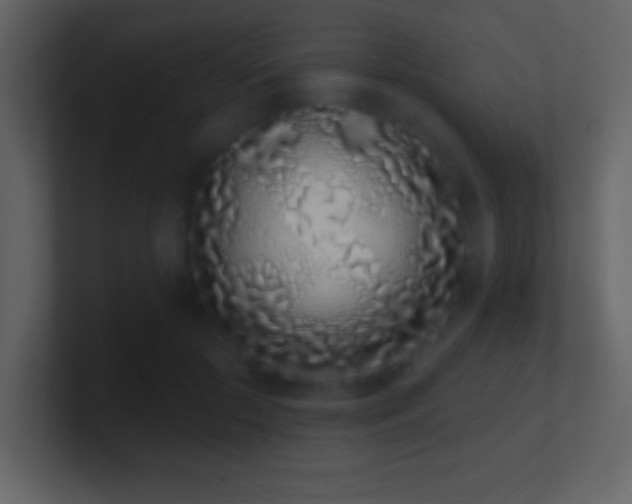 X0000101420553200807071318