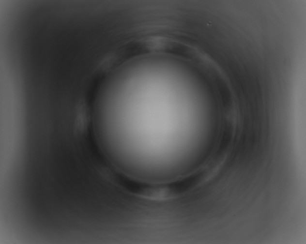 X0000101420554200807071318