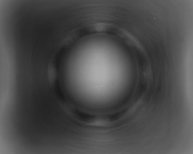 X0000101420555200807071318