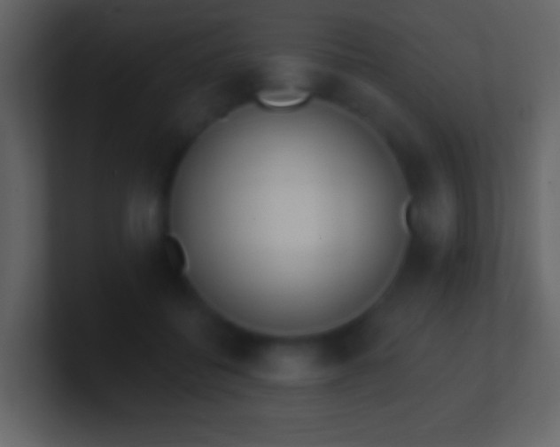 X0000101420556200807071318