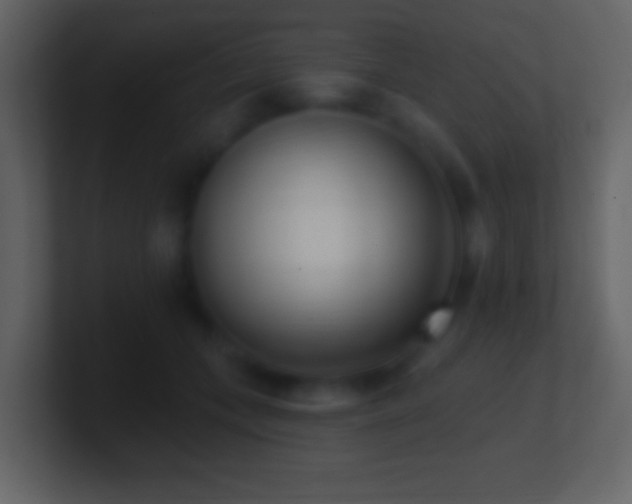 X0000101420559200807071318