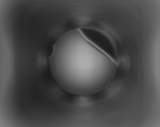 X0000101420566200807071318