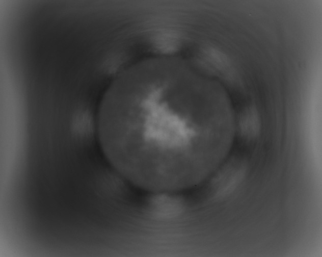 X0000101420568200807071318