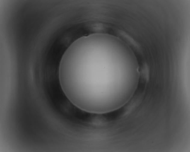 X0000101420572200807071318