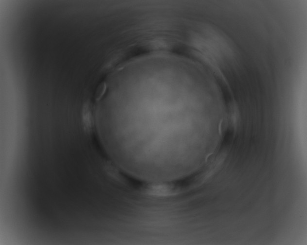 X0000101420573200807071318